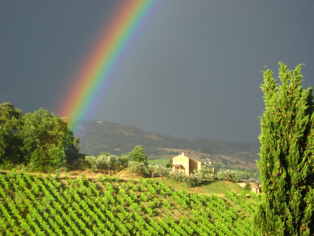 Вилла Agriturismo La Campana Montefiore dell'Aso Экстерьер фото