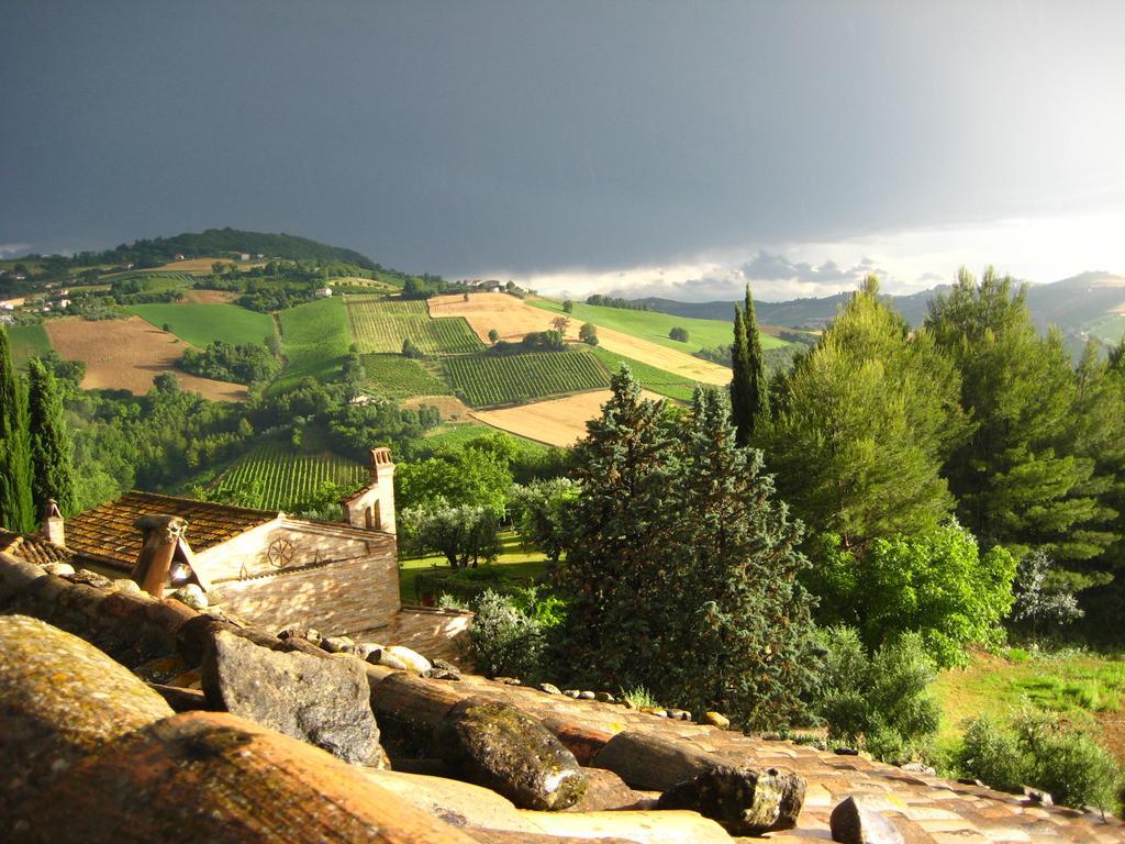 Вилла Agriturismo La Campana Montefiore dell'Aso Экстерьер фото