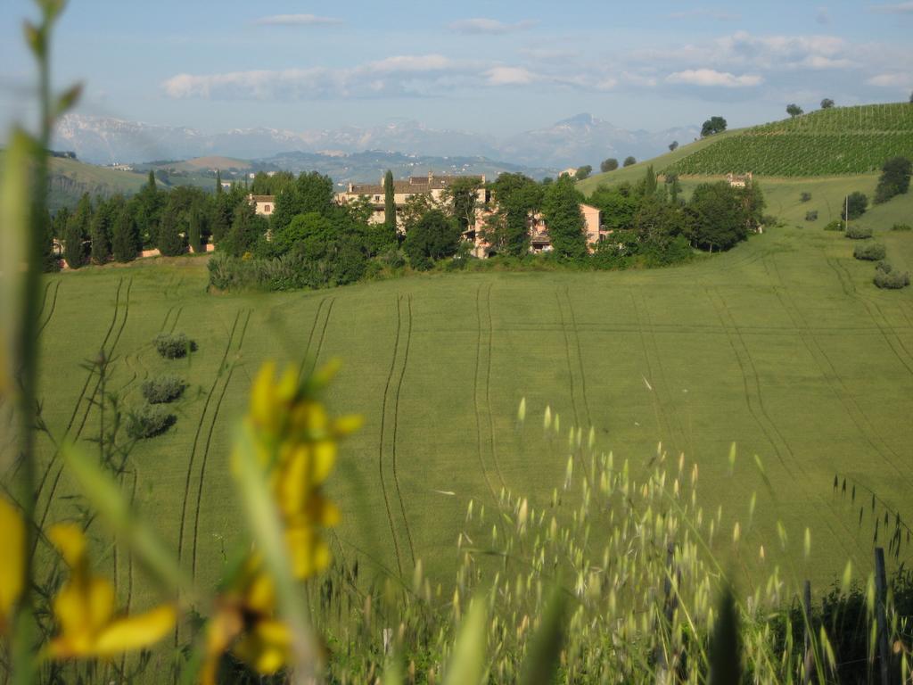 Вилла Agriturismo La Campana Montefiore dell'Aso Экстерьер фото