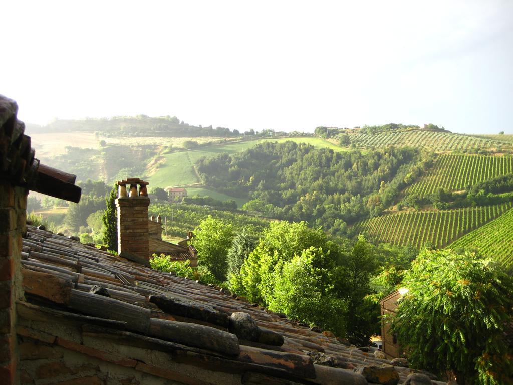 Вилла Agriturismo La Campana Montefiore dell'Aso Экстерьер фото